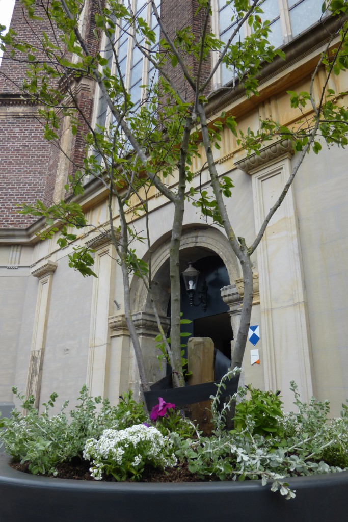 2016.05.24 10-45-27 plantwerk binnenstad